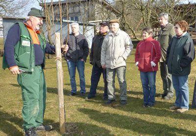 Gärtnermeister Georg Hager informierte die Mitglieder des Obst- und Gartenbauvereins Weickartshain über fachgerechten Schnitt von Obstbäumen und Sträuchern (Bild: Golz)