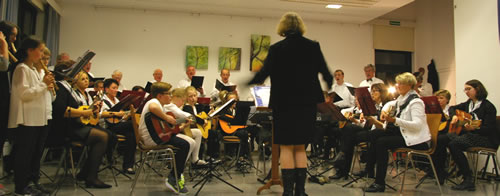 Alle Mitwirkenden beim Frühlingskonzert des Mandolinenorchesters Weickartshain (Bild: Golz)