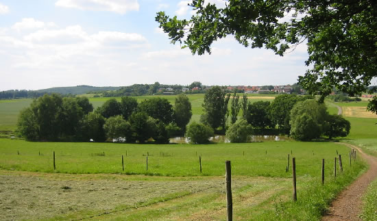 Blick vom Hatzenberg auf das Gelände des Angelsportvereins 